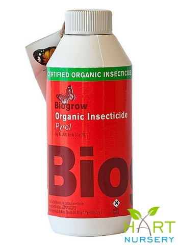 biogrow-organic-insecticide--pyrol